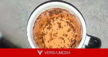 من مطبخك.. مشروب بسيط يساعد فى حمايتك من الكبد الدهني
