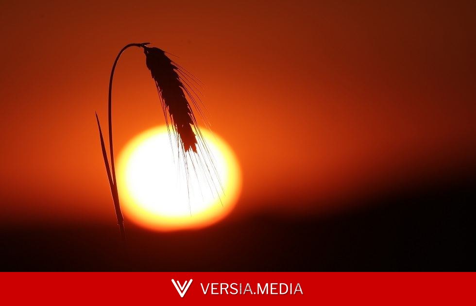 كوريا الجنوبية تصدر تحذيرا جديدا من أعلى مستوى بسبب موجات الحر