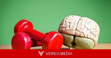 كيف تؤثر المقليات والوجبات السريعة على خلايا المخ لدى الشباب؟